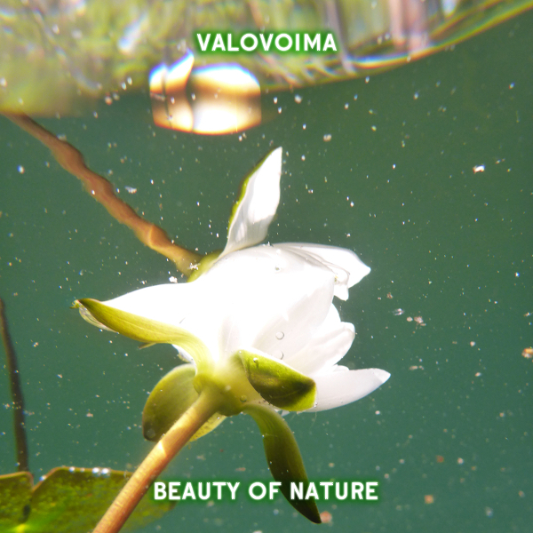 [KOVAWEB07] Valovoima - Beauty of Nature